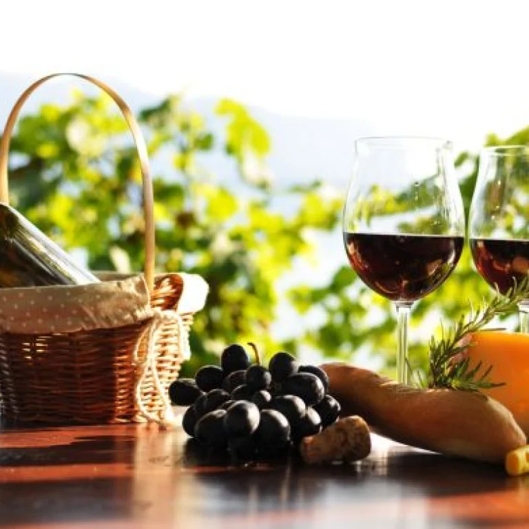 Winery Tours